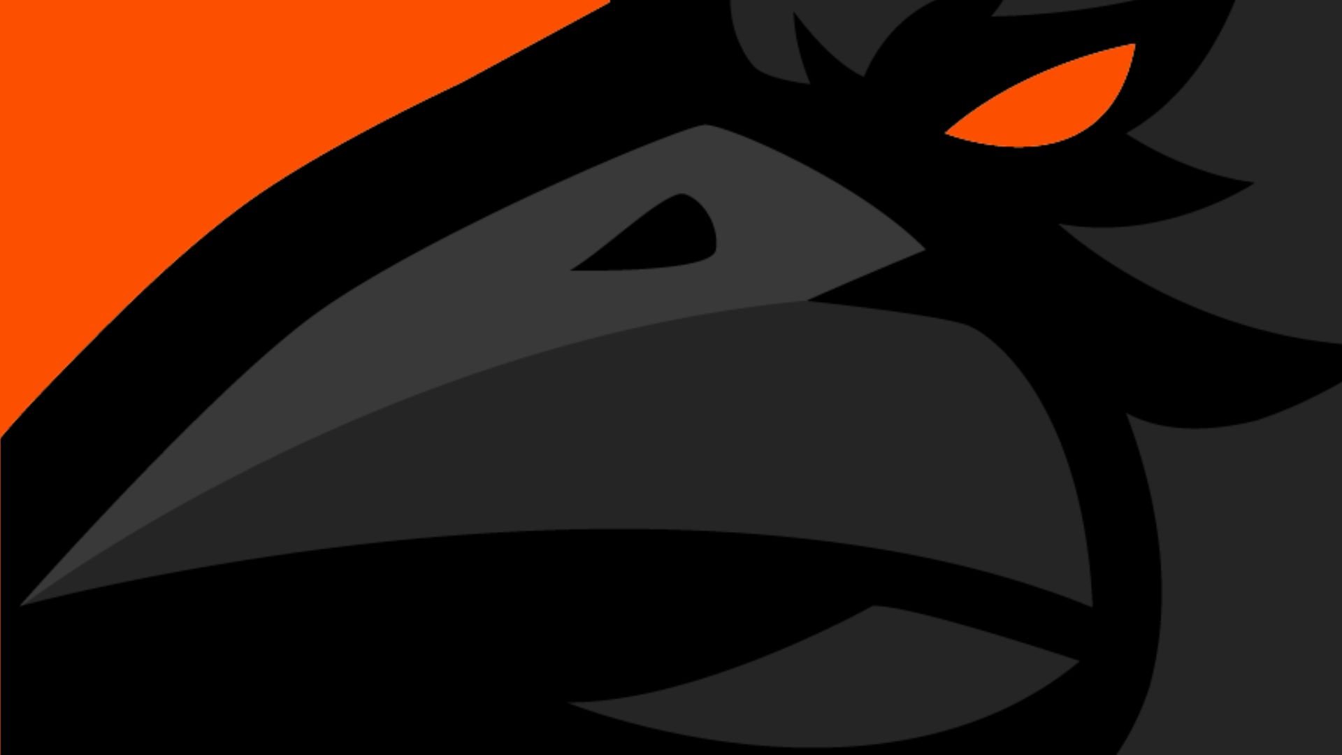 Ravens on ice